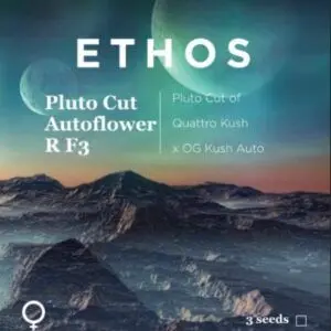 Ethos - Pluto Cut Autoflower R F3