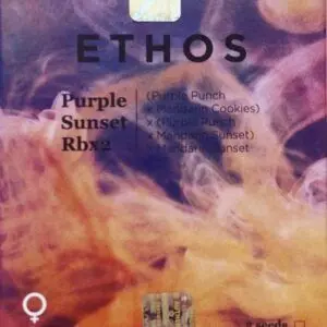 Ethos - Purple Sunset Rbx2