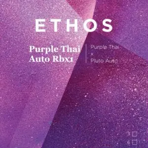 Ethos - Purple Thai Auto Rbx1 (Autoflower)