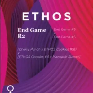 Ethos - End Game R2