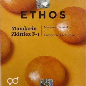 Ethos - Mandarin Zkittlez F1