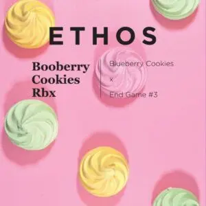 Ethos - Booberry Cookies Rbx (Feminized)