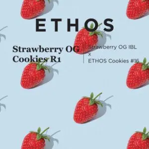 Ethos - Strawberry OG Cookies R1 (Feminized)
