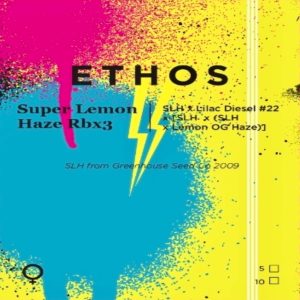 Ethos - Super Lemon Haze Rbx3 (Feminized)
