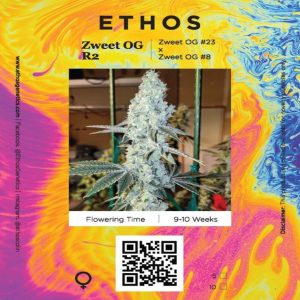 Ethos – Zweet OG R2 (Feminized)