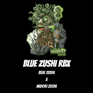 In House Genetics – Blue Zushi RBX (Feminized)