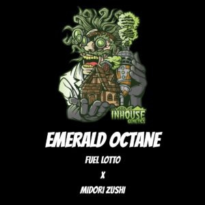 In House Genetics – Emerald Octane (Feminized)